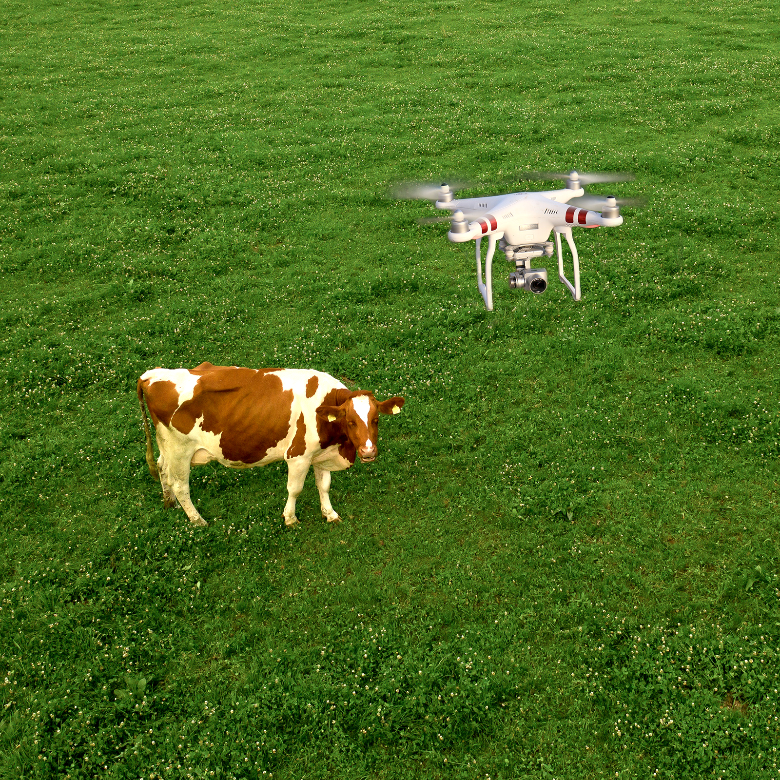 Drone pilot’s ‘blue sky’ thinking after training with Flyby Technology